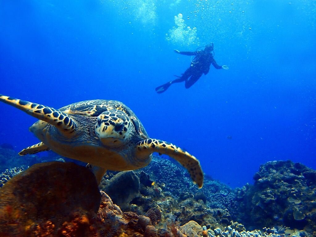 Buceo profundo en Columbia