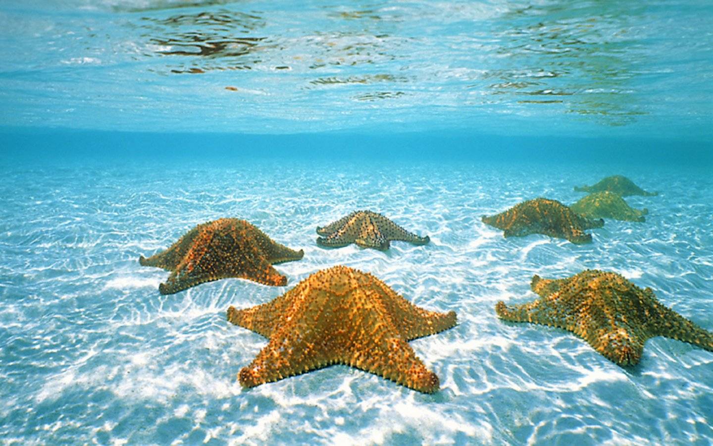 Snorkel en El Cielo
